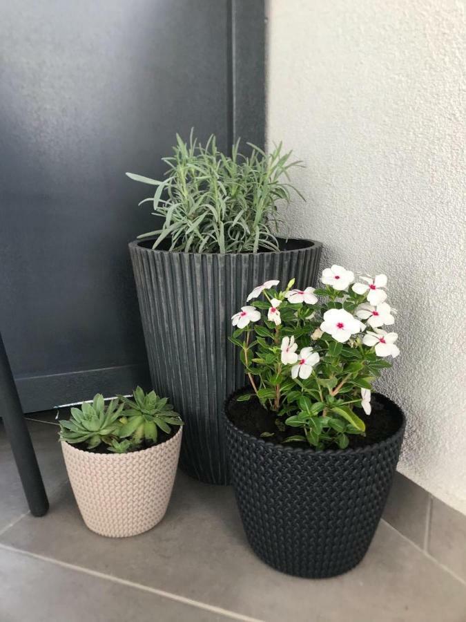 Premier Apartment Luceafarul Oradea Buitenkant foto